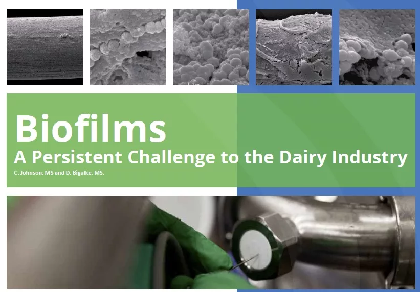 Biofilms in Dairy Whitepaper WEB.jpg